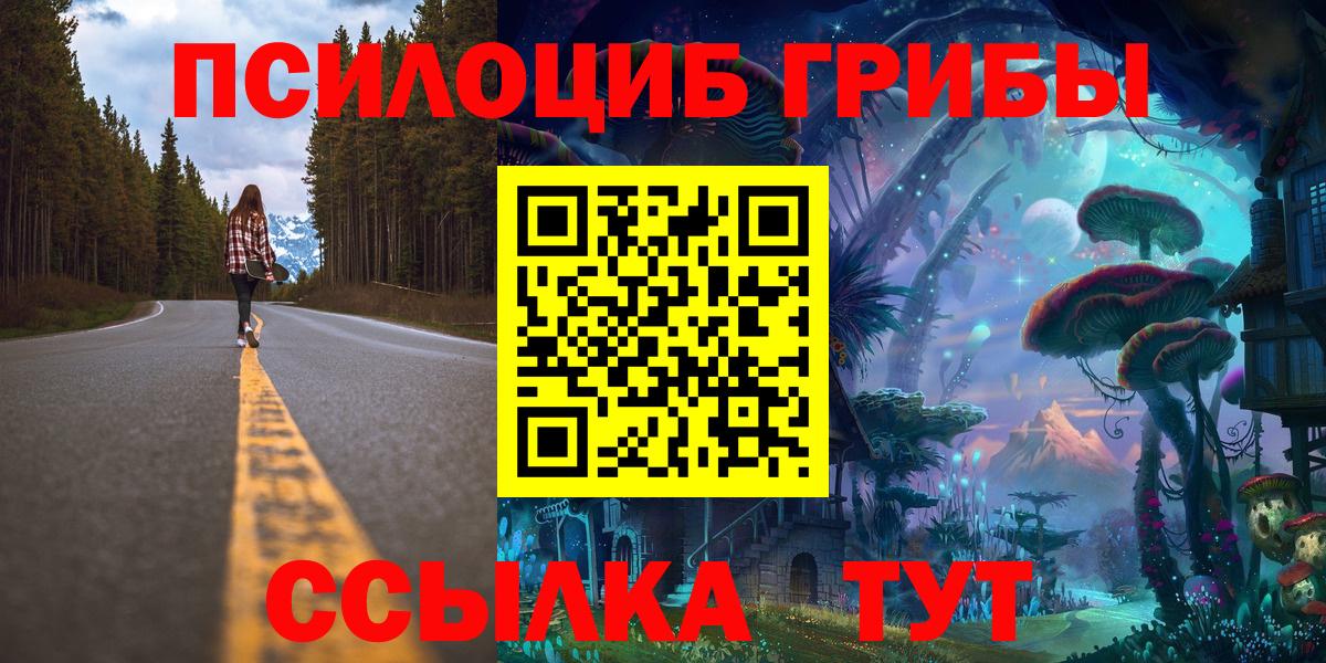 Камышлов  Псилоцибиновые грибы прущие грибы  Псилоцибиновые грибы Psilocybe  Вход с VPN 