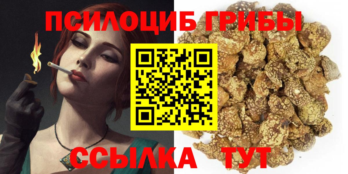 Псилоцибиновые грибы Cubensis Камышлов
